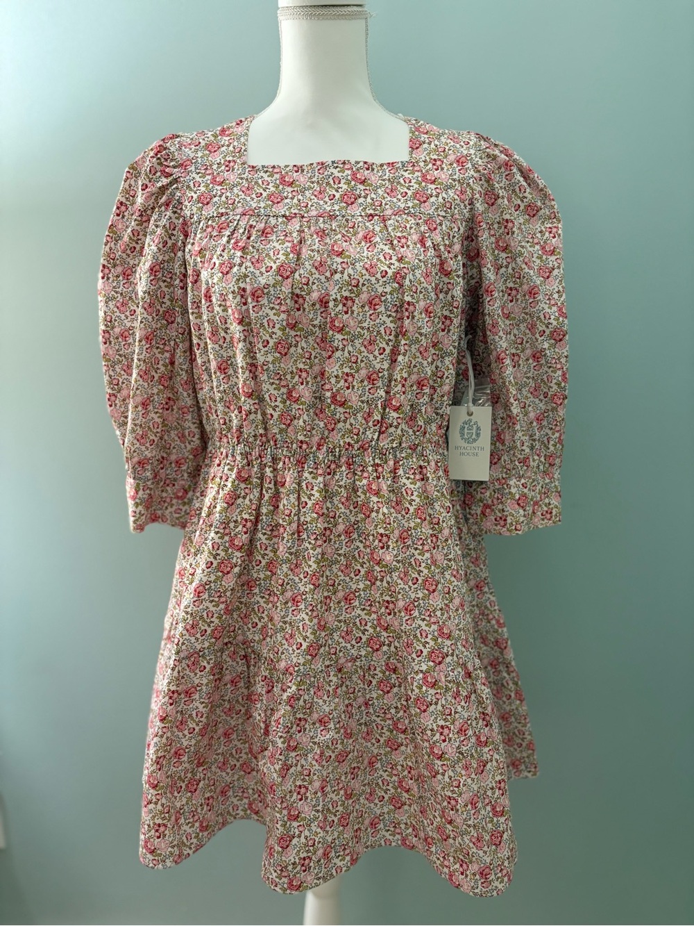 NWT Pink and Red Floral “Maddie” Mini Dress By Hyacinth House For Tuckernuk